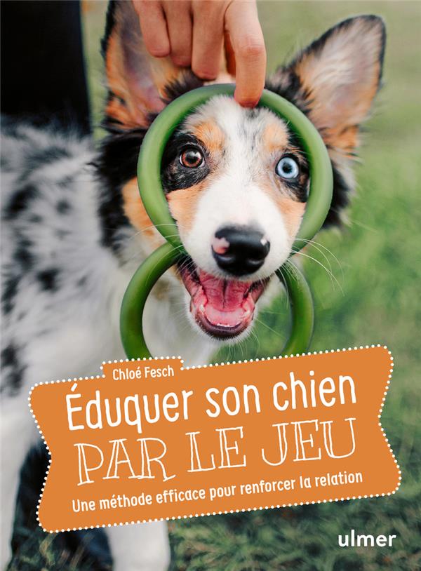 Eduquer son chien par le jeu - Une méthode efficace pour renforcer la relation