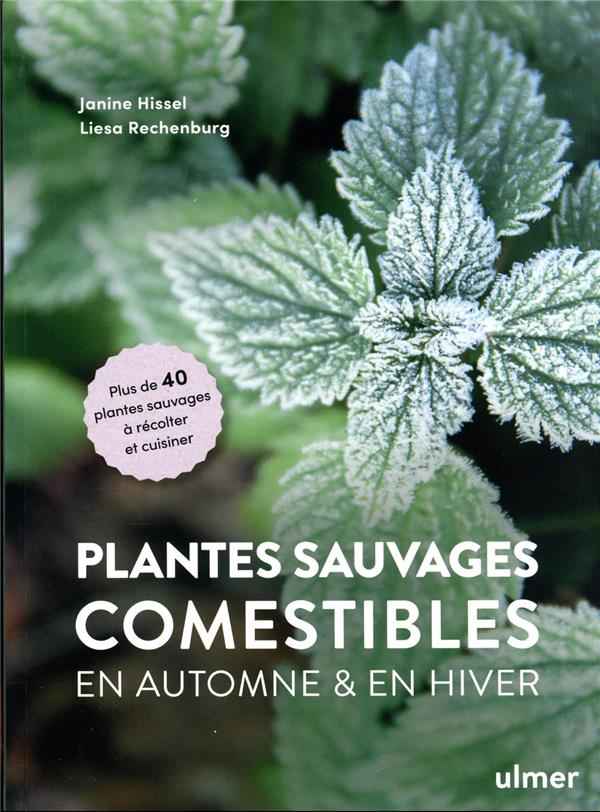 Plantes sauvages comestibles en automne & en hiver