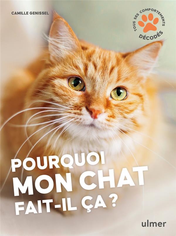 Pourquoi mon chat fait-il ça ?