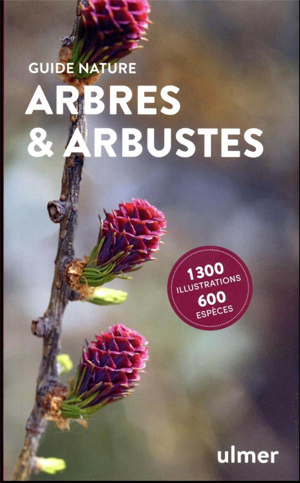 Arbres et arbustes