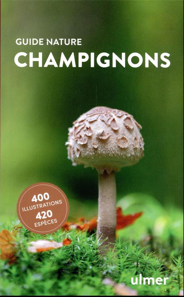 Champignons