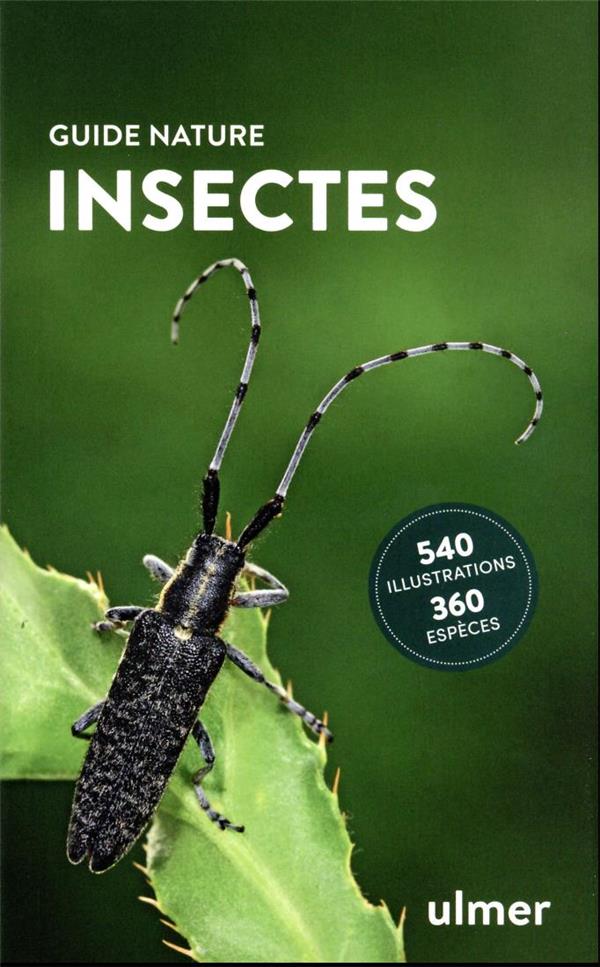 Insectes