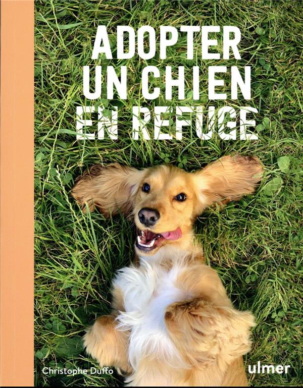 Adopter un chien en refuge