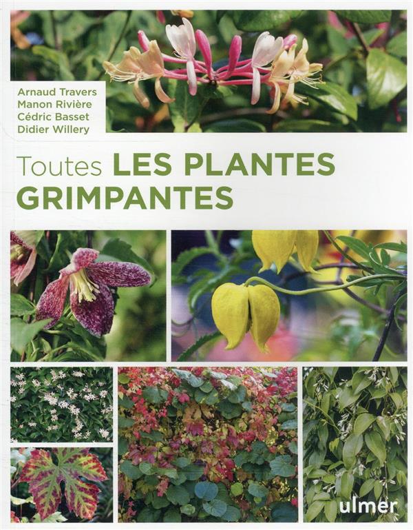[9782379222351] Toutes les plantes grimpantes