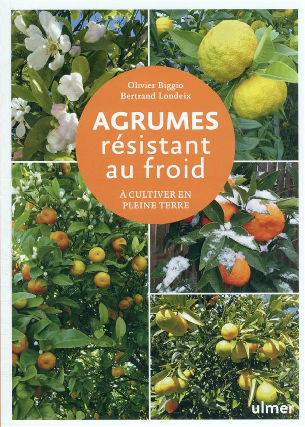 [épuisé] Agrumes résistant au froid - A cultiver en pleine terre