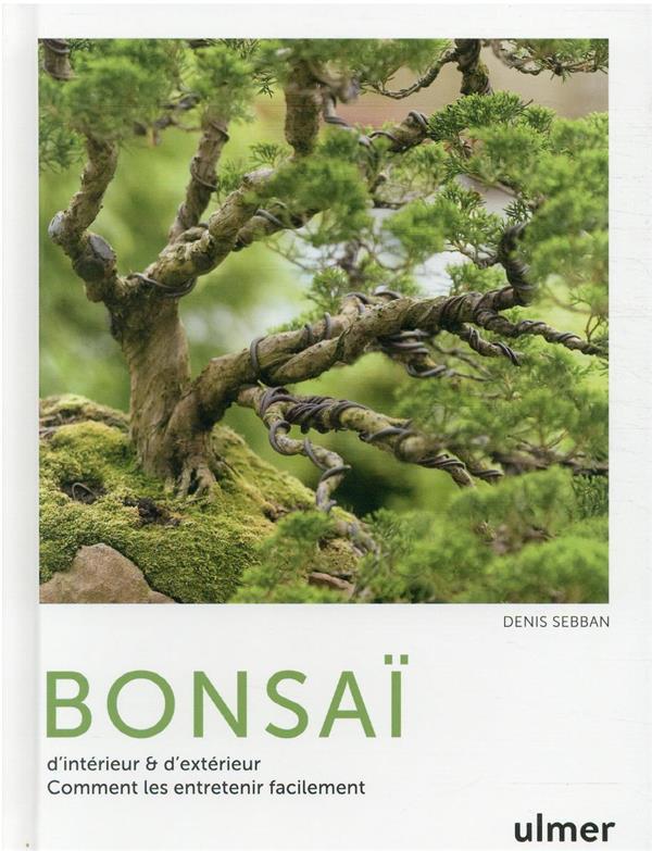 Bonsaï - D'intérieur & d'extérieur. Comment les entretenir facilement
