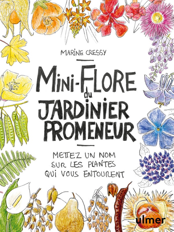 Mini-Flore du jardinier promeneur - Mettez un nom sur les plantes qui vous entourent