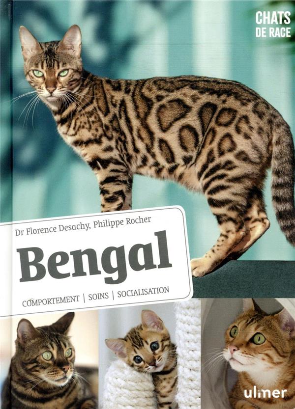 Bengal - Comportement, soins, socialisation