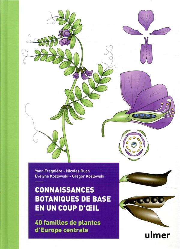 Connaissances botaniques en un coup d'oeil - 40 familles de plantes d'Europe centrale