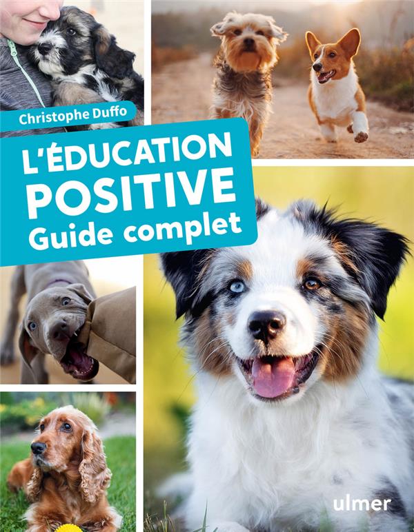 L'éducation positive du chien - Guide complet