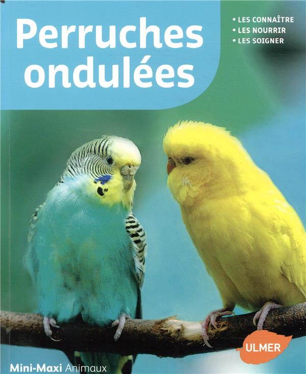 Perruches ondulées