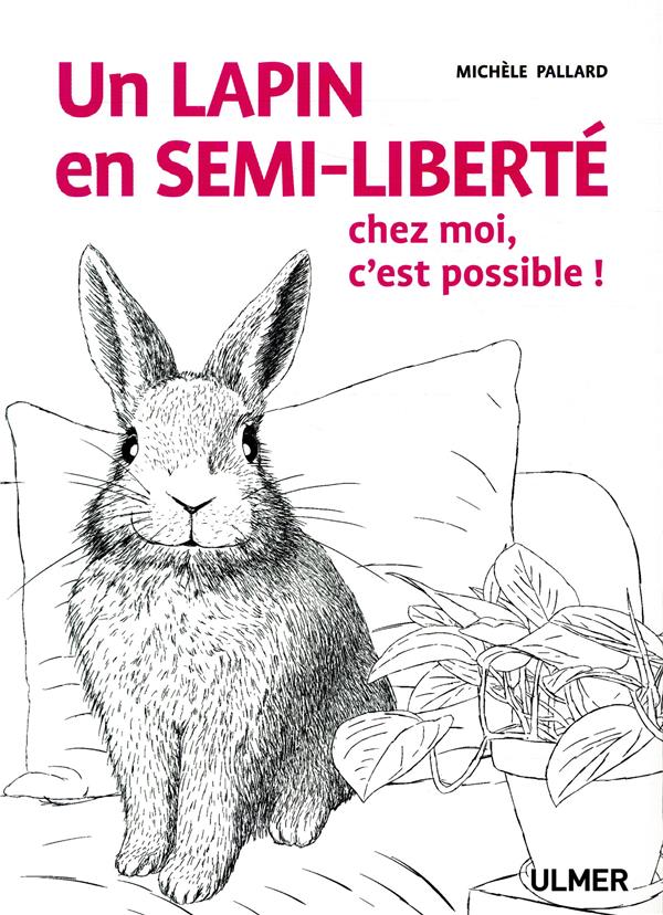 Un lapin en semi-liberté chez moi, c'est possible !
