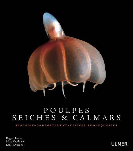 Poulpes, seiches et calmars - Biologie, comportement, espèces remarquables