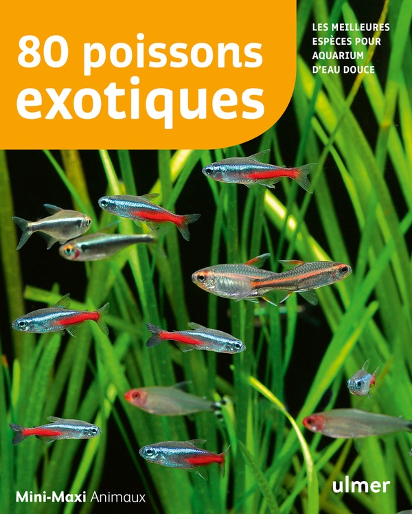 80 poissons exotiques - Les meilleures espèces pour aquarium d'eau douce