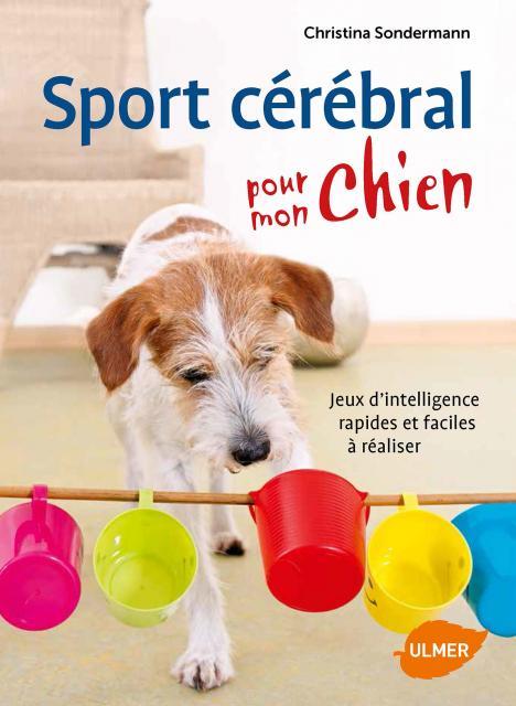 Sport cérébral pour mon chien - Jeux d'intelligence rapides et faciles à réaliser