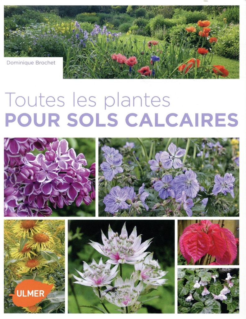 Toutes les plantes pour sols calcaires