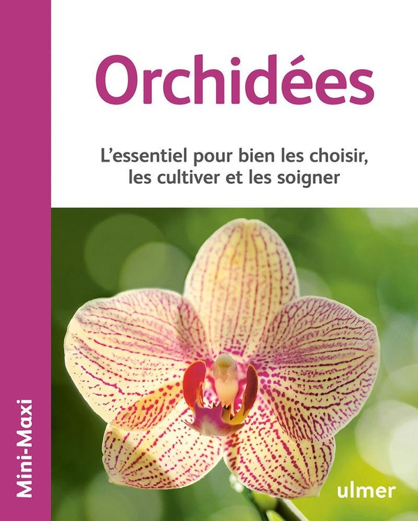 Orchidées - L'essentiel pour bien les choisir, les cultiver et les soigner