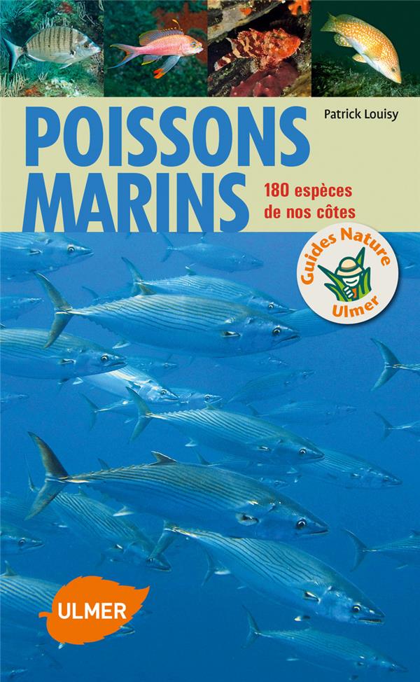 Poissons marins - 180 espèces de nos côtes
