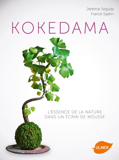 Kokedama - L'essence de la nature dans un écrin de mousse
