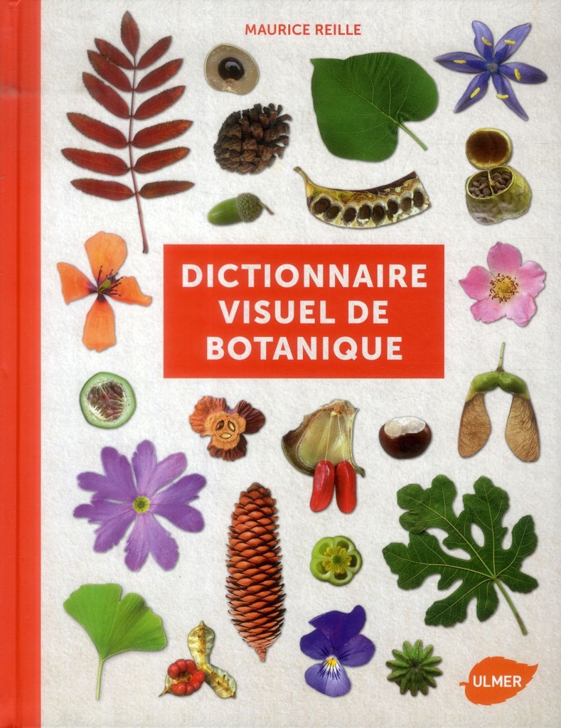 Dictionnaire visuel de botanique
