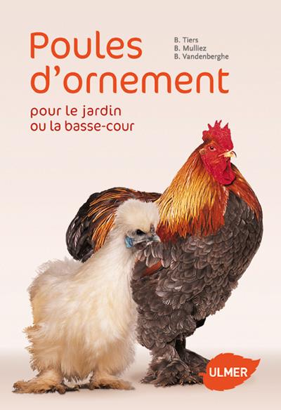 Poules d'ornement pour le jardin ou la basse-cour