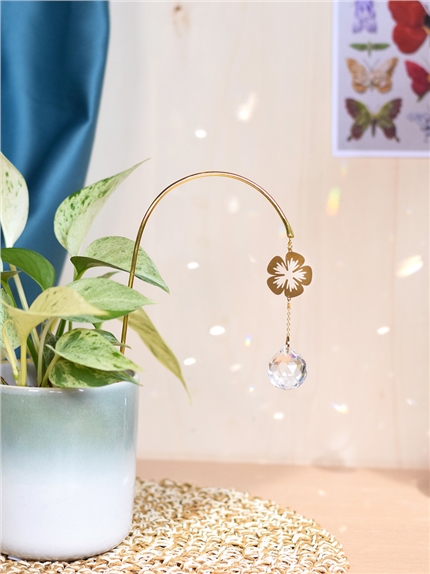 Attrape-soleil à planter Flora