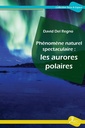 Phénomène naturel spectaculaire : les aurores polaires