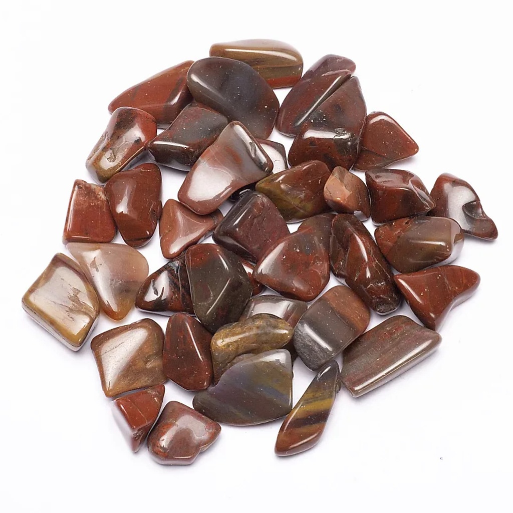 [8718657464923] Bois pétrifié pierres polies qualité A | ± 250g; ± 2-3cm