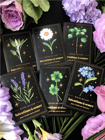 Présentoir 6 x 10 Intentions à semer