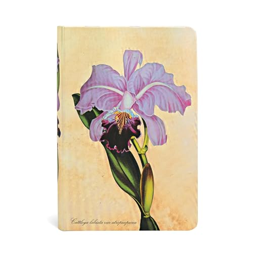 Carnets à couverture rigide - Orchidée Brésilienne - Mini - Ligné