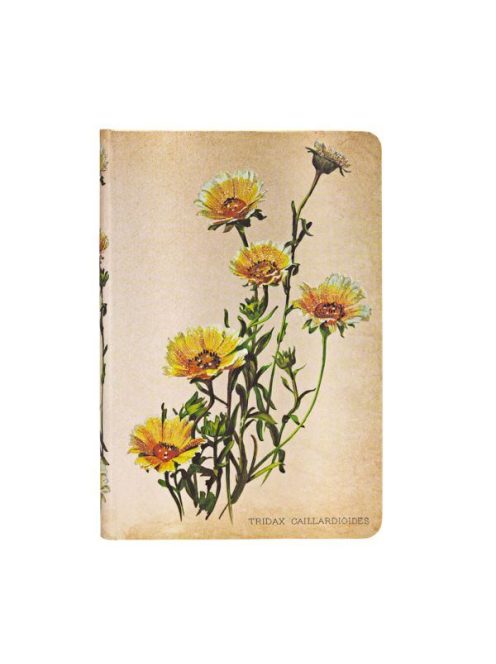 Carnets à couverture rigide - Marguerites des Bois - Mini - Ligné