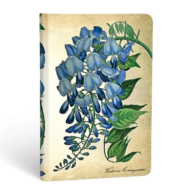 Carnets à couverture rigide - Glycine en Fleurs - Mini - Non ligné
