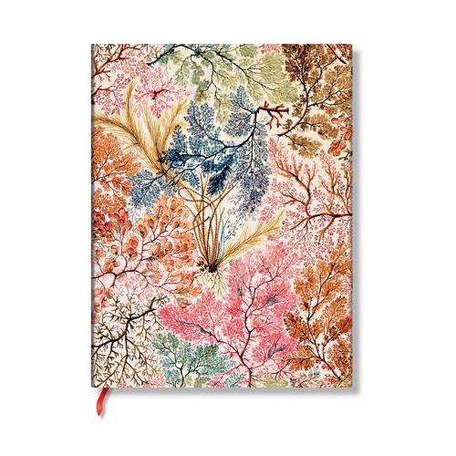 carnet PB flexis anémone mini ligné