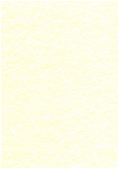 Parchemin Végétal 21 x 29,7 cm