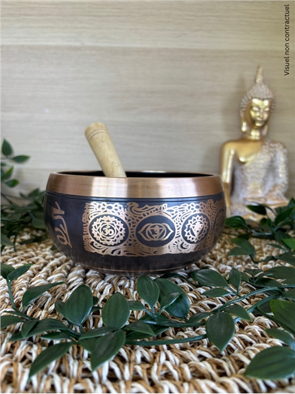 [3660341766866] Bol Chantant Tibétain Noir 7 Chakras env 14 cm