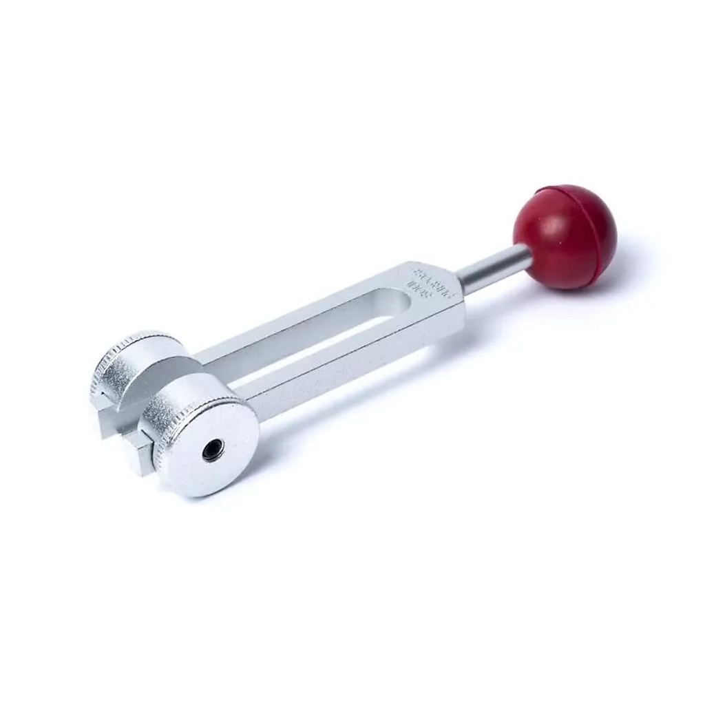 Diapason Soul Purpose (272,20 Hz) -- 23x10,5 cm