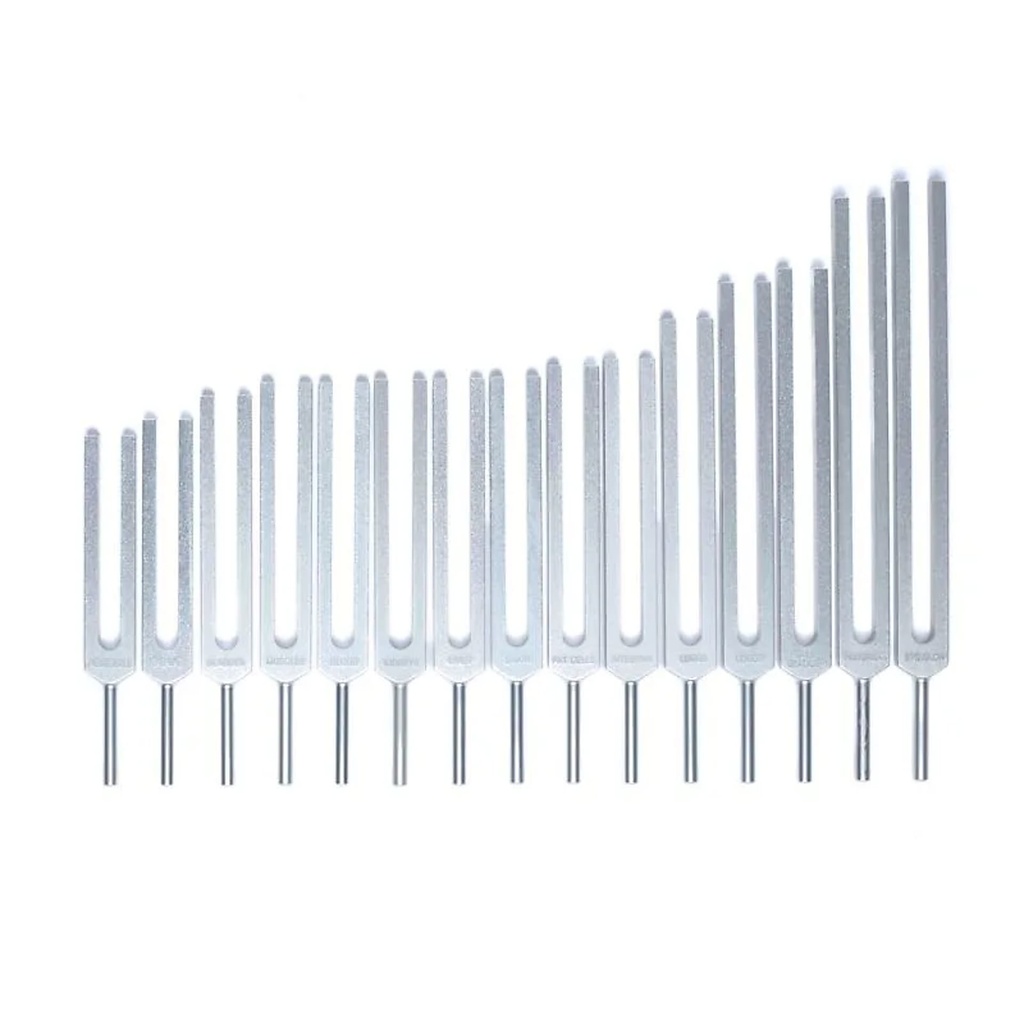 Jeu de diapasons Organes Humains -- 69x29 cm