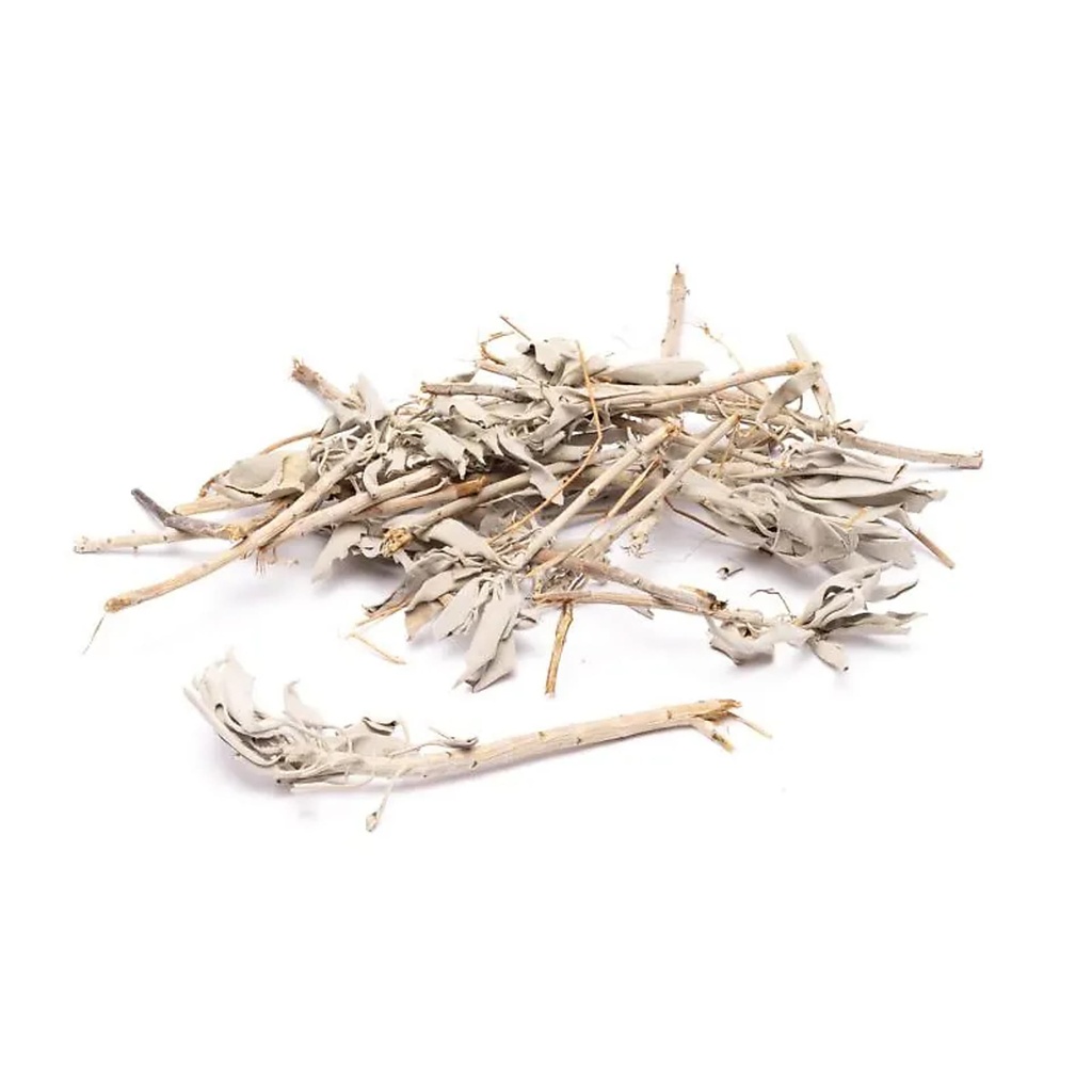 Sauge blanche grossière (Salvia apiana) -- ±1kg