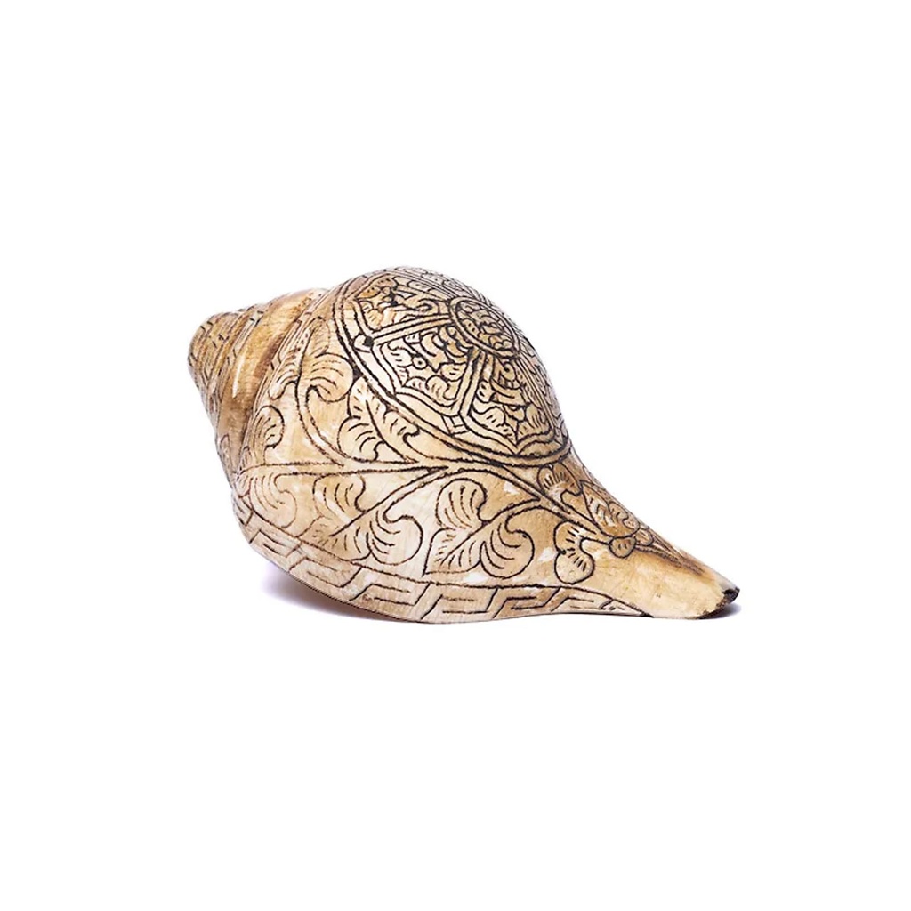 Conque tibétaine trompette rituelle gravé OMPH | ±18 cm