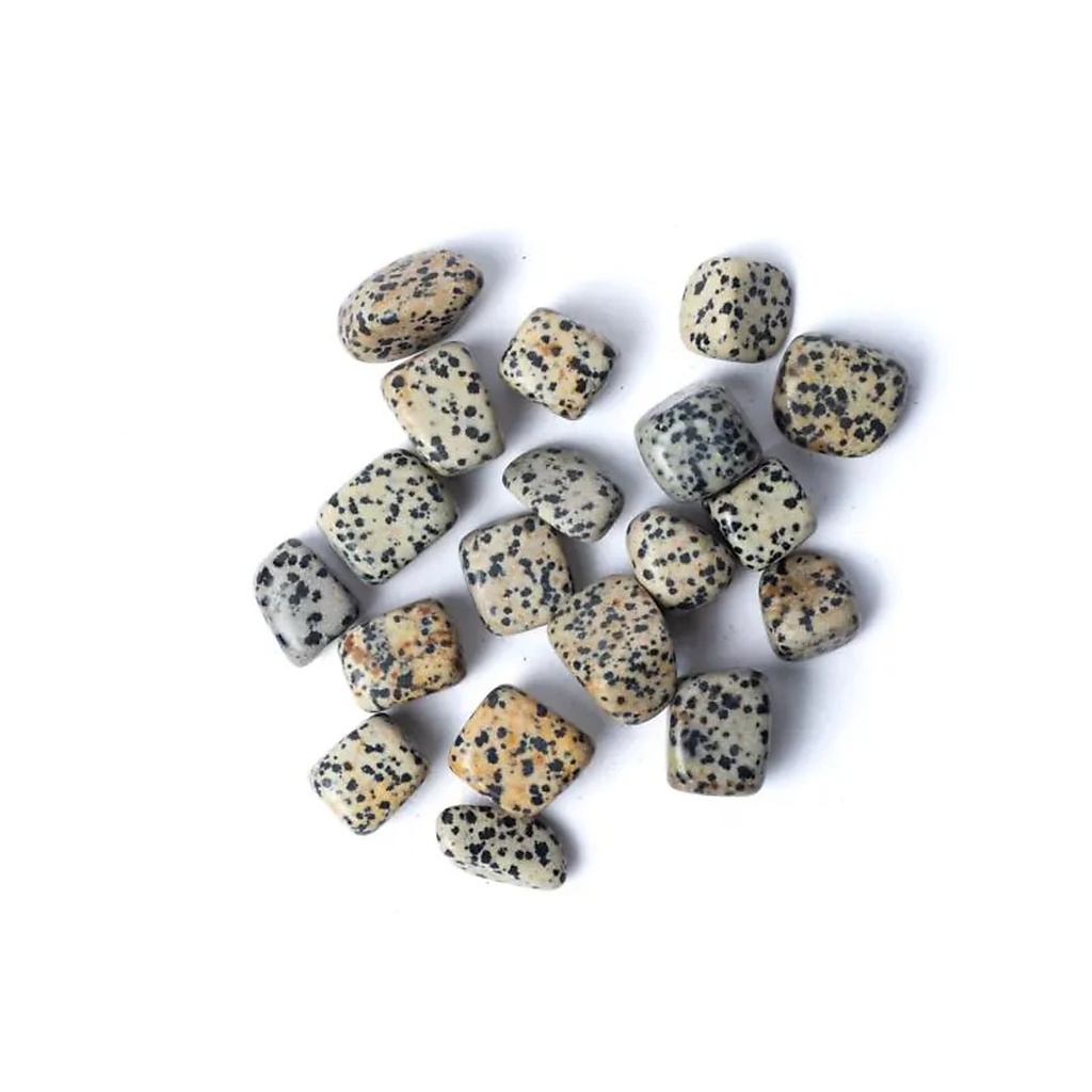Jaspe dalmatien pierres polies qualité A -- ±1,5-3,5cm ; ±250g