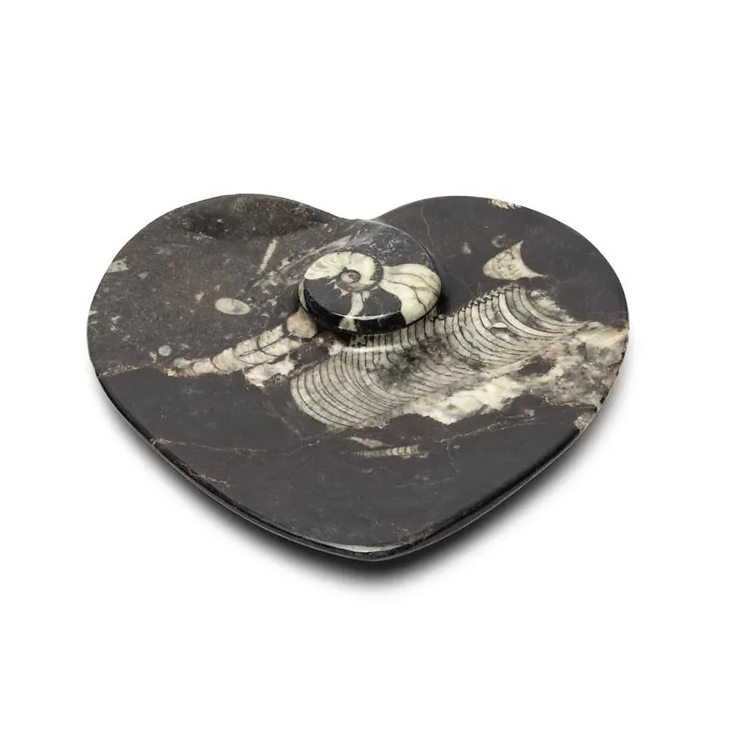 Plaque en marbre en forme de cœur avec fossiles -- ±14x14x2,5cm; ±450g
