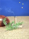 Briques de fumigation et socle Protection divine