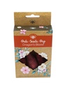 Palo Santo Pop Sang de Dragon