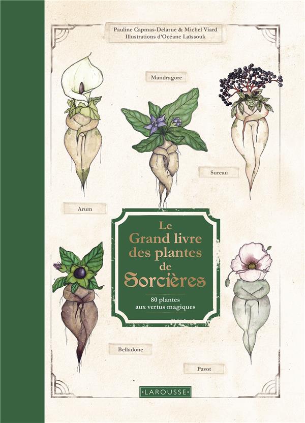 [9782036007451] Le Grand Livre des plantes de sorcières - 80 plantes aux vertus magiques