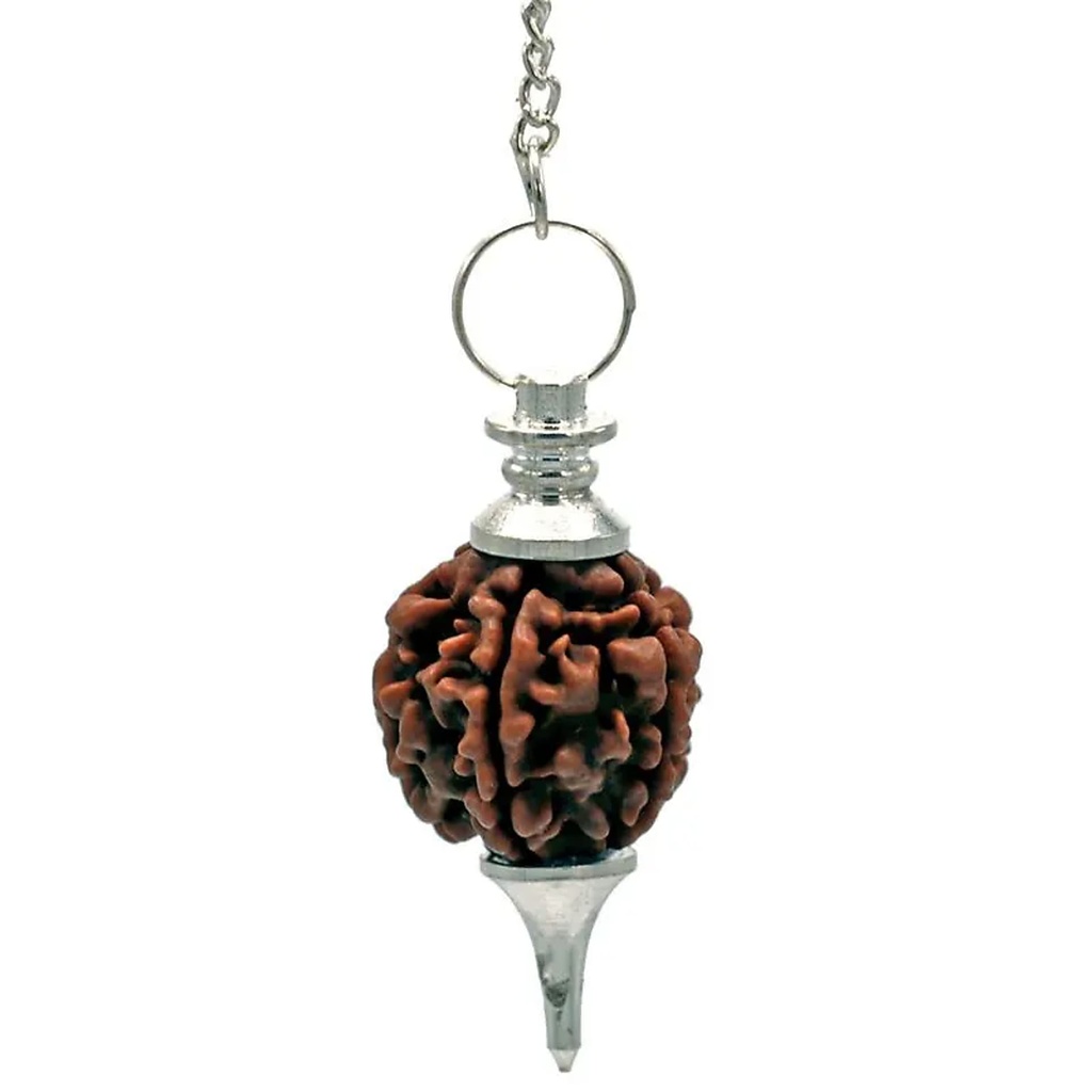 Pendule couleur argent avec Rudraksha | 10 g; 4.5 cm