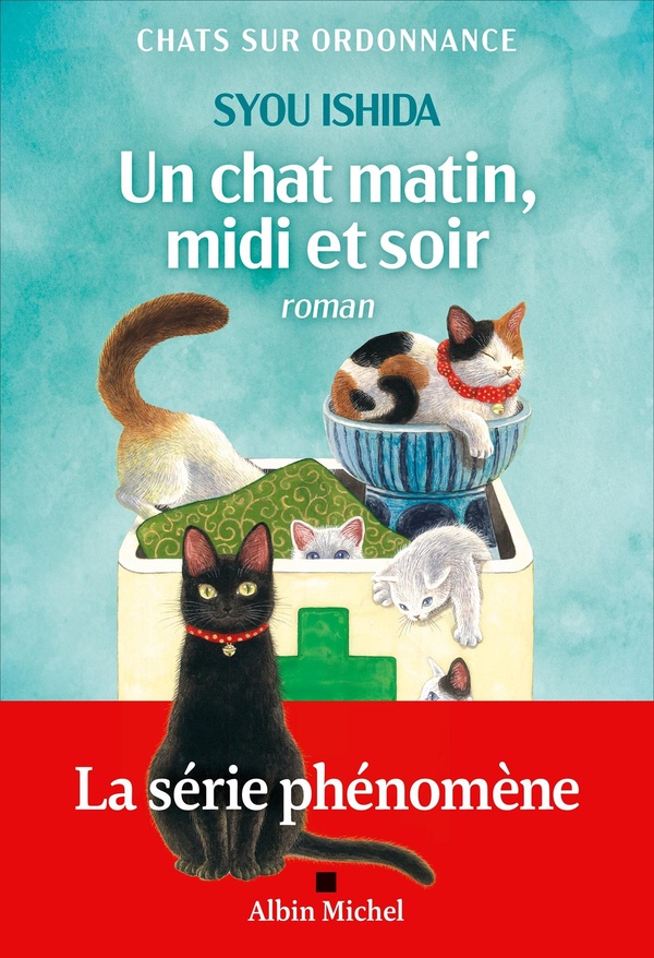 [9782226500090] Un chat matin, midi et soir
