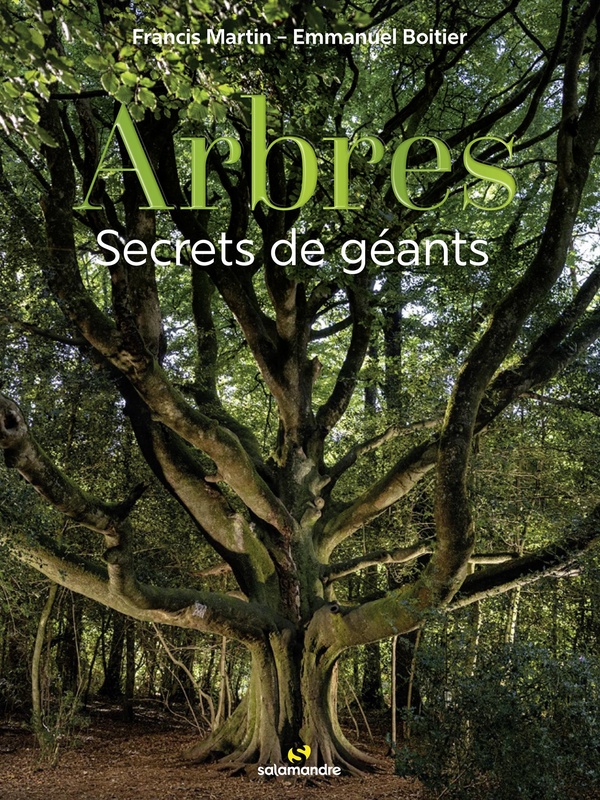 [9782889585939] Arbres - Secrets de géants