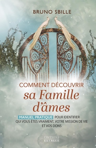 [9782385383312] Comment découvrir sa Famille d'âmes ? - Manuel pratique pour identifier qui vous êtes vraiment, votre mission de vie et vos dons