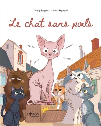 [9782487827349] Le Chat sans poils