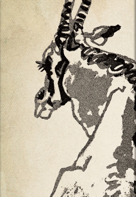 Carnets à couverture rigide - Oryx Solitaire - Midi - Ligné